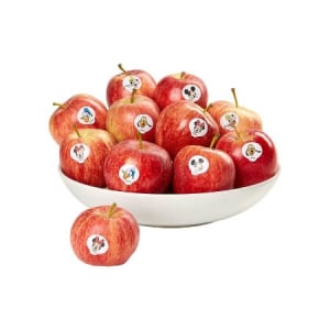 Proove Mr Cleaner 20 in 1 Multifunctional Cleaning Kit